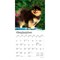 Pomeranians | 2026 7 x 14 Inch (Hanging) Monthly Mini Wall Calendar